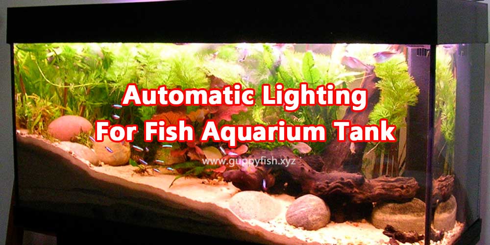 automatic-lighting-for-fish-aquarium-tank