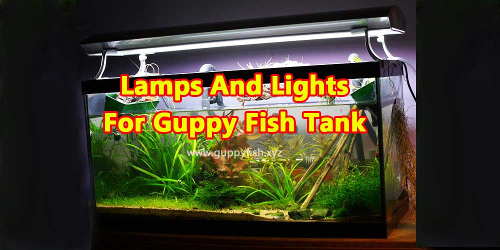 lamps-and-lights-for-guppies-aquarium-fish-tank